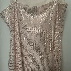 SHEIN Plus Sequin Dress Size 1X(14)